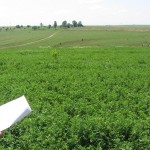 Проучване на предложение за закупуване на земя в село Българене - 10.06.2014 г.
