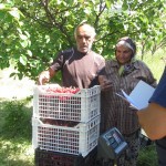 Участници в Програмата от с. Брестовица реализират продукцията си - 03.06.2015 г.