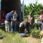 Участници в програмата развиват сътрудничество с търговци от Румъния - 03.06.2015 г.
