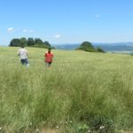 Проучване на инициативи – 16.06.2016 г.
