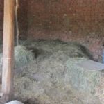 Проучване на инициативи – 16.06.2016 г.