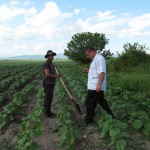 Marking the boundaries of the property of participants from Padarsko - 05/21/2014