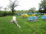 Assessed new proposal for purchase of bee families in Balgarovo - 06/02/2014