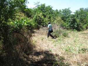 Assessed proposal to purchase property in Dzhinot - 06/26/2014