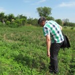 Assessed proposal to buy a bale packing machine in Shejnovo - 06/26/2014