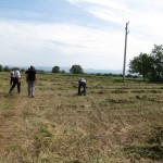 Assessed proposal to buy a bale packing machine in Shejnovo - 06/26/2014