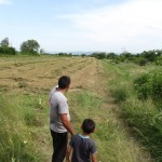 Assessed proposal to buy a bale packing machine in Shejnovo - 06/26/2014