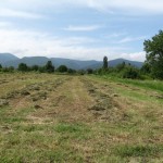 Assessed proposal to buy a bale packing machine in Shejnovo - 06/26/2014
