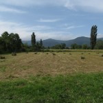 Assessed proposal to buy a bale packing machine in Shejnovo - 06/26/2014