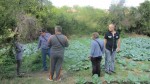 Assessed proposal to purchase a yard in Stefan Karadzhovo - 09/22/2014