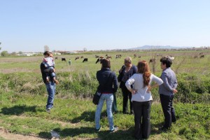 Мониторинг на инициатива "Закупуване на крави" за участник в с. Окоп - 17.04.2015 г.