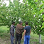 Предоставяне на агрономически консултации на участници по програмата - 27.04.2015 г.