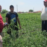 проучване на предложение за закупуване на земя в с. Караджалово - 04.06.2015 г.