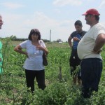 проучване на предложение за закупуване на земя в с. Караджалово - 04.06.2015 г.