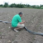 проучване на предложение за закупуване на земя в с. Караджалово - 04.06.2015 г.