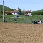 Провеждане на практическо обучение за отглеждане на билки в с. Брестница, обл. Ловеч - 16.04.2016 г.